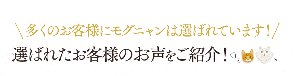 多くのお客様にモグニャンは選ばれています！選ばれたお客様の声をご紹介！