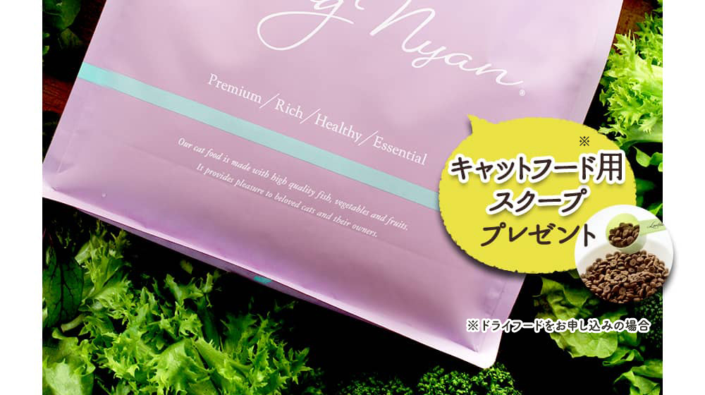 「キャットフード用スクーププレゼント」