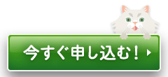 今すぐ始める!