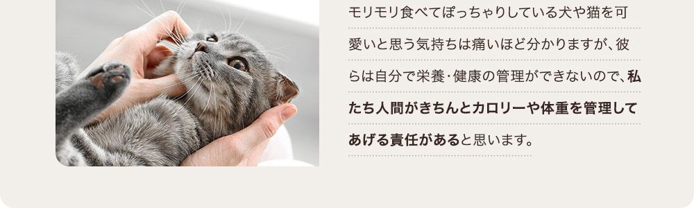 モリモリ食べてぽっちゃりしている犬や猫を可愛いと思う気持ちは痛いほど分かりますが、彼らは自分で栄養・健康の管理ができないので、私たち人間がきちんと管理してあげる責任があると思います。
