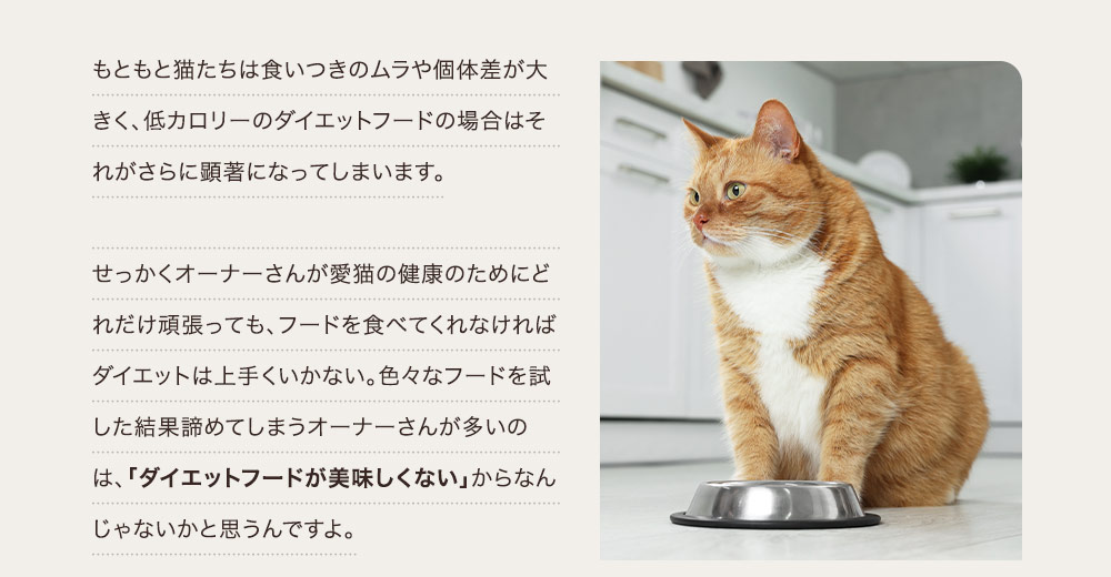 色々なフードを試した結果諦めてしまうオーナーさんが多いのは、「ダイエットフードが美味しくない」からなんじゃないかと思うんですよ。