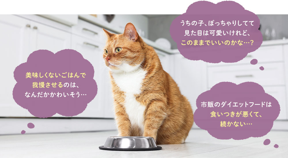 うちの子、ぽっちゃりしてて見た目は可愛いけれど、このままでいいのかな…?