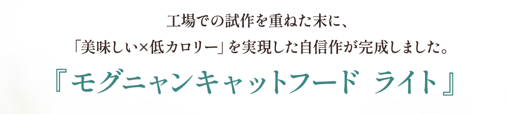 工場での施策を重ねた末に、美味しい×低カロリーを実現した自信作が完成しました。
