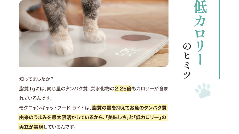 低カロリーのヒミツ