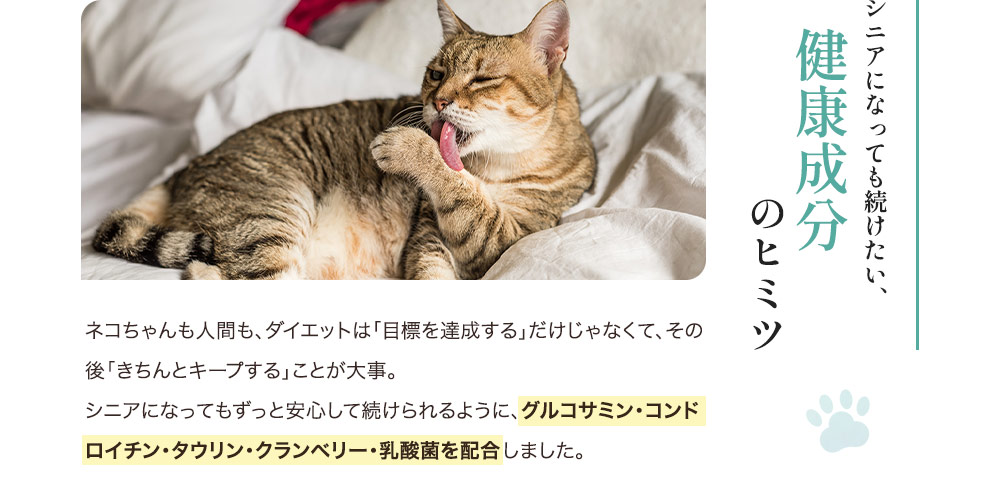 健康成分のヒミツ