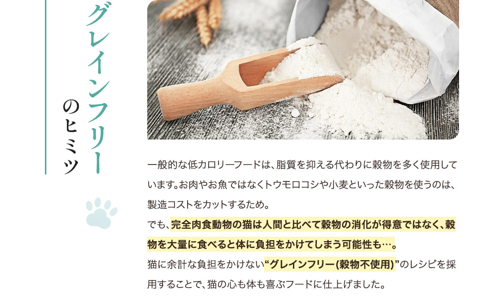 グレインフリーのヒミツ