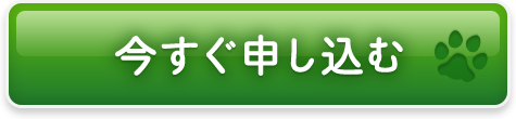 今すぐ申し込む