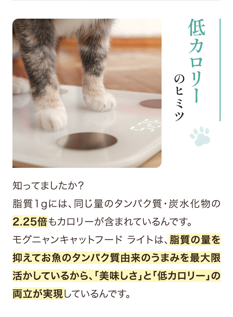 モグニャン ライト｜「美味しい」×「低カロリー」の自信作